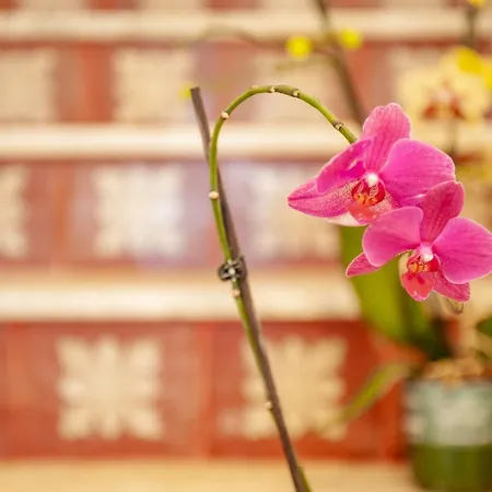 Holiday home Baglio La Riserva