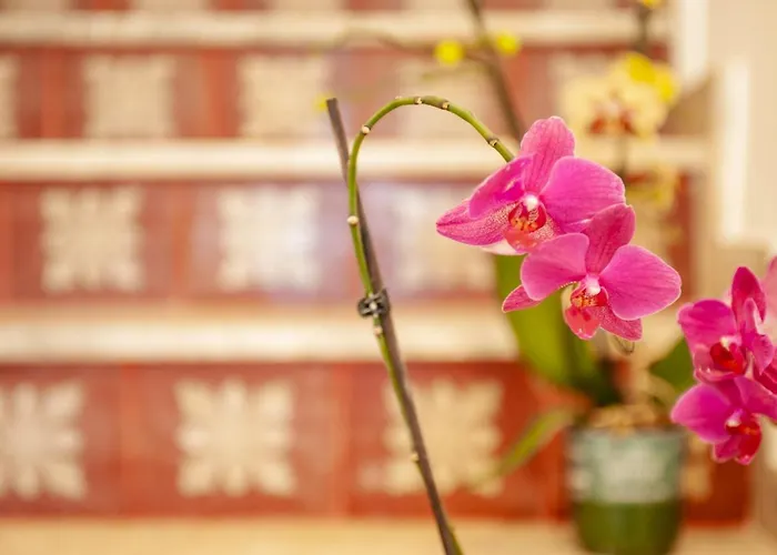 Ferienhaus Baglio La Riserva