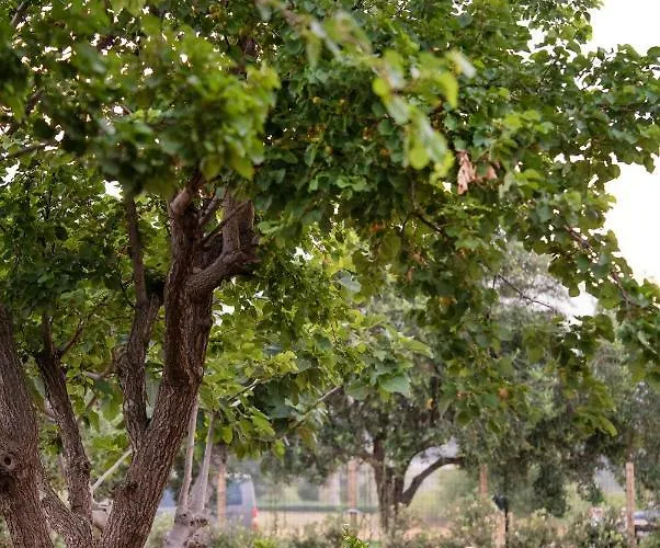 Baglio La Riserva Ferienhaus Scopello (Sicily)
